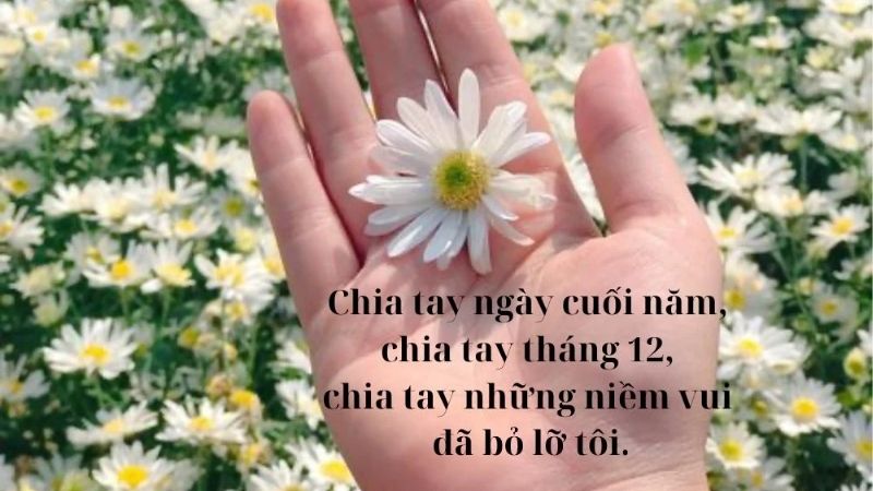 stt cuối năm hài hước