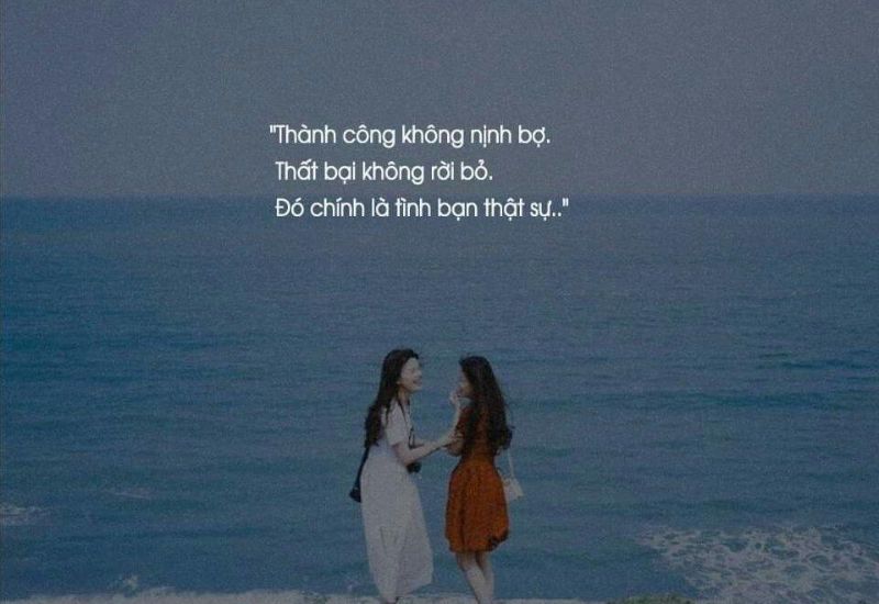 stt hay về tình bạn