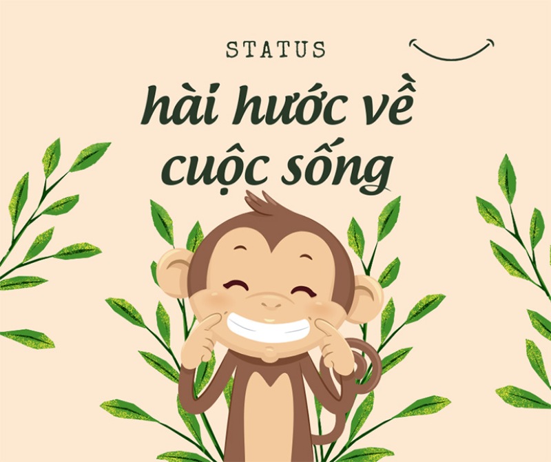 stt về cuộc sống